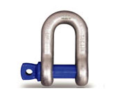 免费看片的网站DW型卸扣